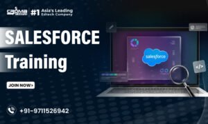 sales force training